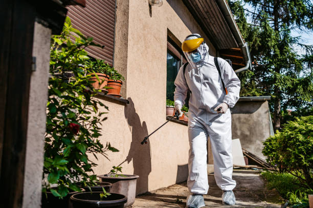 Best Best Pest Control Companies  in Millis Clicquot, MA