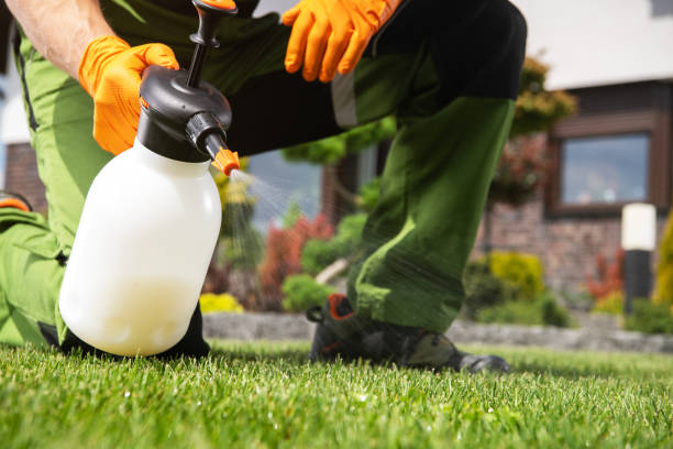 Best Pest Removal Services  in Millis Clicquot, MA