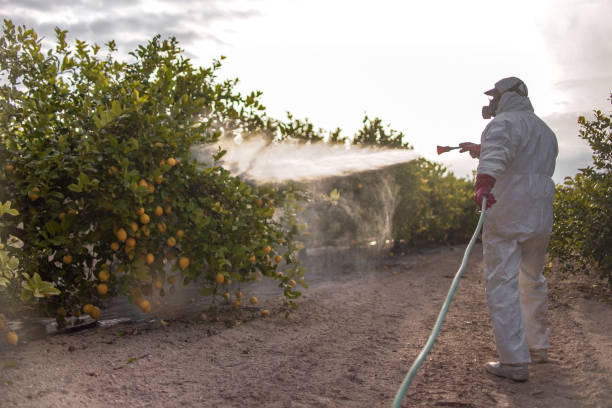 Best Residential Pest Control  in Millis Clicquot, MA