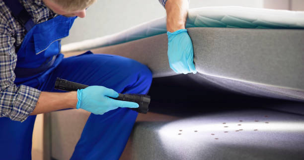 Best Emergency Pest Control  in Millis Clicquot, MA