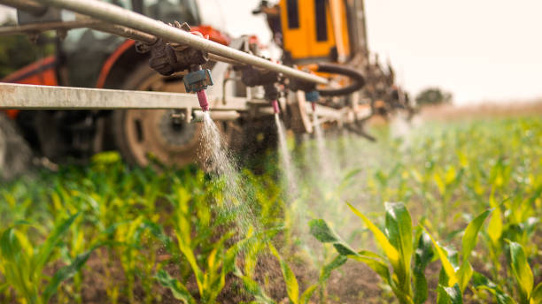 Professional Pest Control in Millis Clicquot, MA